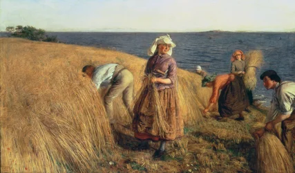 The Harvest