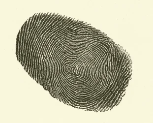 Fingerprint