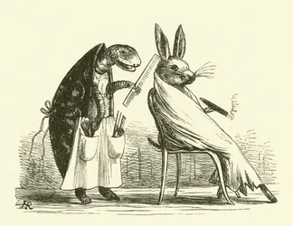 Tortoise and Hare