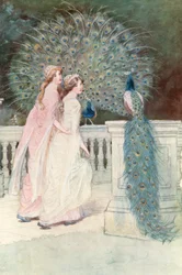 Illustration for Shakespeare