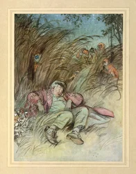 Watched by Monkeys, from 