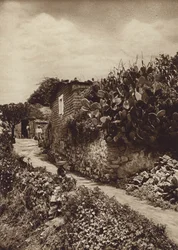 Mexico: Picturesque Corner in San Angel D.F.