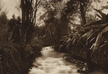 Mexico: Uruapam
