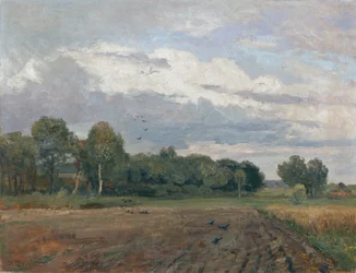 Nordic Landscape