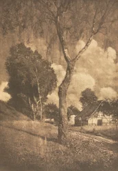Camera Work: Pomeranian Motif