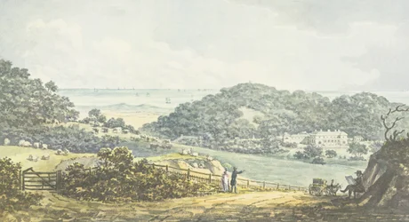 Panoramic 