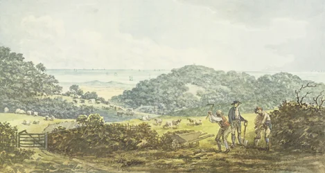 Panoramic 