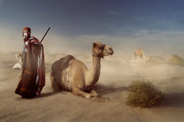 Arabian Desert Traveler