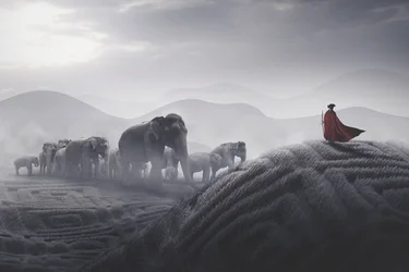 Red Cape Elephant Journey
