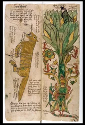 The Wolf Fenrir and the World-Tree Yggdrasil, 1680