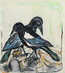 Black Birds