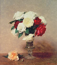 Unknown Image