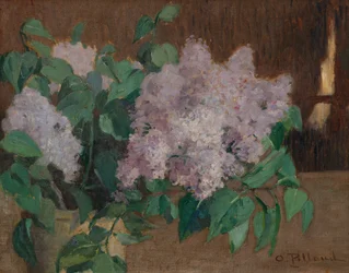 Lilac