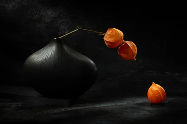 Black Vase Orange Lanterns