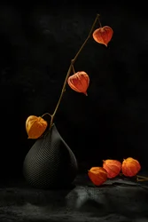 Chinese Lanterns Still Life