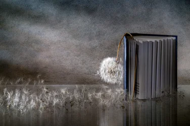 Dandelion Book Reflection