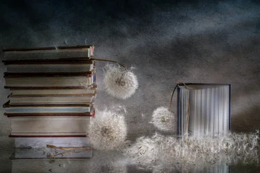 Dreamy Books and Dandelions