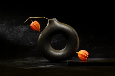 Elegant Dark Still Life