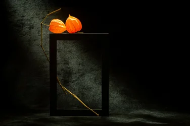 Glowing Physalis Frame