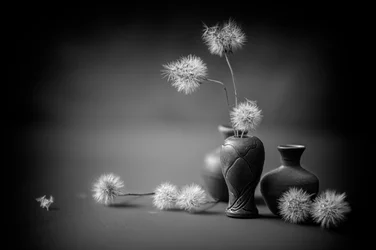 Serene Dandelion Vases