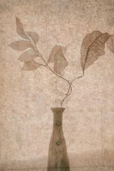 Delicate Sepia Botanicals