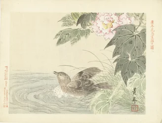 Bathing Bird by Pink Flower (Bloemen- en vogelschetsen van Keinen)