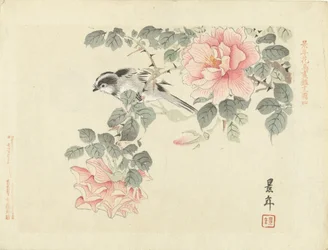 Black and White Bird Among Pink Roses