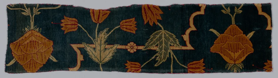Fragments of a Carpet