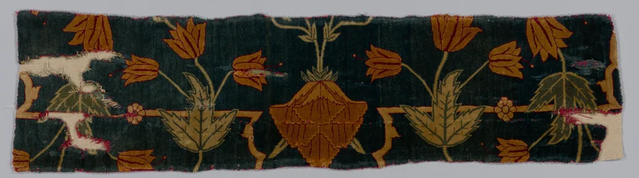 Fragments of a Carpet