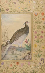 A Himalayan Cheer Pheasant, border c.1635