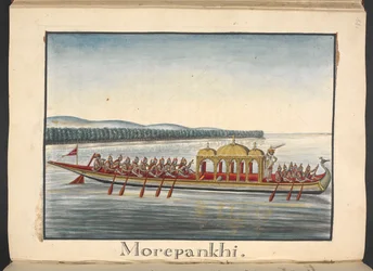 A peacock boat