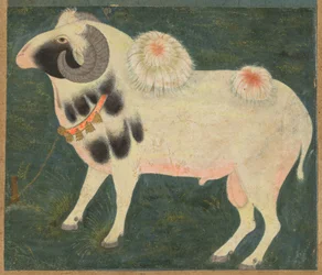 A Royal Ram with a Gold Chain, c. 1585
