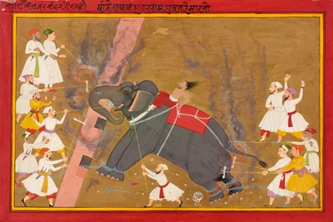 An Elephant Runs Amok