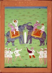 Battle of Two Elephants at the Court of Shah Alem. Indian and Persian miniatures in History of India from Tamertante to Orangreyb by Niccolo Manucci