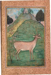 Buck in a Landscape