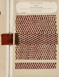 Coarse cotton turban sample from Sydapet in Madras, from The Collection of the Textile Manufacturers of India, by John Forbes Watson, published in 1866
