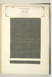 Cotton Check, Masulipatam, Madras, Piece Goods, from The Collection of the Textile Manufacturers of India, by John Forbes Watson, published in 1866