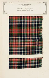 Cotton plaid sample from Mylapore in Madras, from The Collection of the Textile Manufacturers of India, by John Forbes Watson, published in 1866