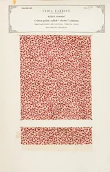 Cotton sample with a chetee (chintz) print from Arcot in Madras, from The Collection of the Textile Manufacturers of India, by John Forbes Watson, published in 1866