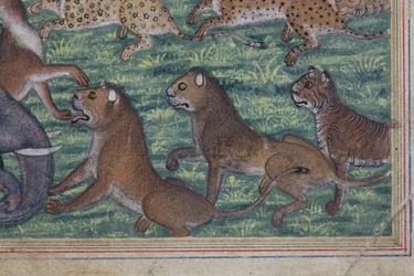 (detail) The Jackal who Pronounced Himself King
