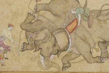 An elephant combat, with border floral arabesque (detail)