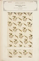 Embroidered muslin sample from Madras, from The Collection of the Textile Manufacturers of India, by John Forbes Watson, published in 1866