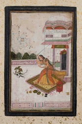 Girl chasing a cat