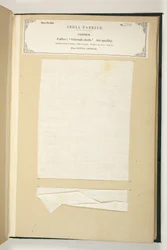 Gurrah Cloth, Patna, Bengal, from The Collection of the Textile Manufacturers of India