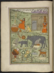 Milkmen of the Gujar caste in the forest, 86 drawings bound into a volume depicting trades and occupations in Kashmir, Craftsmen are shown at work with their implements and equipment, By a Kashmir artist, probably at Srinagar