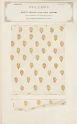 Muslin sample printed with gold flowers from Jeypore in Rajpootana States, from The Collection of the Textile Manufacturers of India, by John Forbes Watson, published in 1866