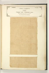 Punjum Cloth, Vizagapatam, Madras, from The Collection of the Textile Manufacturers of India, by John Forbes Watson, published in 1866