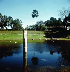Ruins of the Palace of Pataliputra
