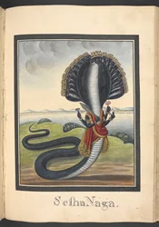 Sesha, the serpent on which Vishnu lies