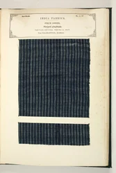 Striped Gingham, Palamcottah, Madras, Piece Goods, from The Collection of the Textile Manufacturers of India, by John Forbes Watson, published in 1866